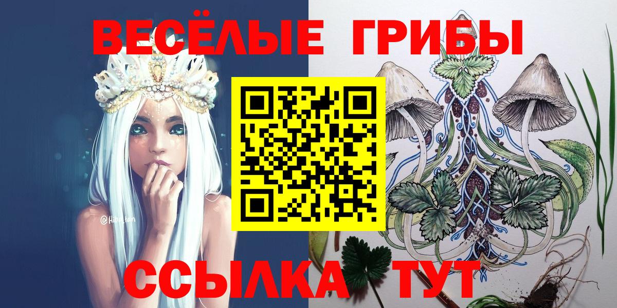 Псилоцибиновые грибы GOLDEN TEACHER Сергиев Посад
